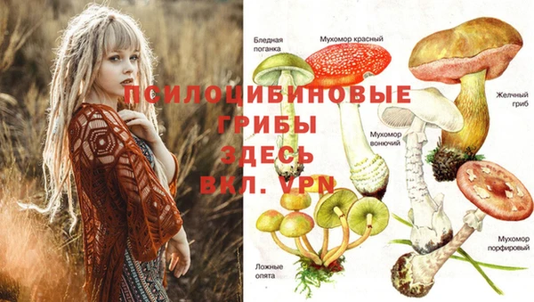 метамфетамин Аркадак